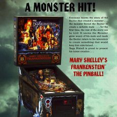 Flyer 1 Mary Shelley’s Frankenstein (1995)